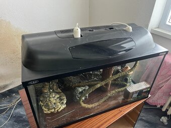 Terarium, sklo, akvárium - 2