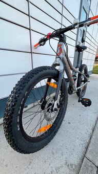 Scott Roxter 20” - 2