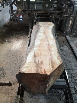 Kmeňova pásová pila - 2