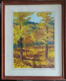 Obraz Trenčiansky hrad - 2