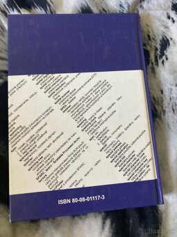 Anglicko slovenský slovník - 2