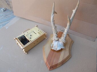 Predam Retro hodiny - Srncia trofej - 2