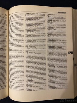 Podrobné slovníky - 2