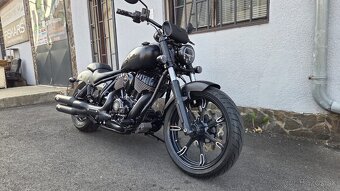 Indian Chief Dark Horse - 2