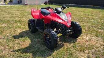 CFMoto x110 - 2