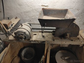 Kladivkovy šrotovnik - 2