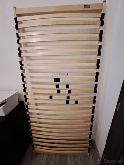 1 ks lamelovy rost - 2