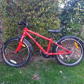 Frog bicykel 20cm - 2