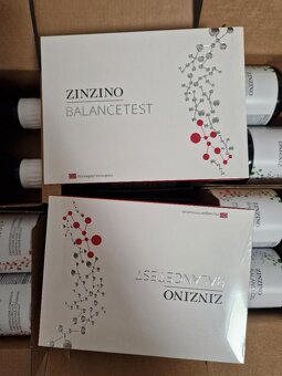 ZINZINO - 2