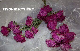 SUŠENÉ KVETY č. 3 - rôzne druhy na ďalšiu tvorbu - 2