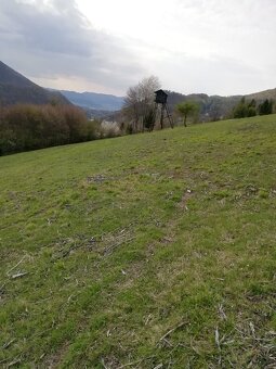 slnecny pozemok-zahrada lopusne pazite - 2