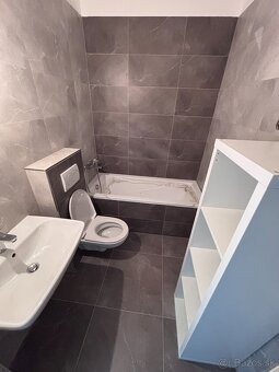 Velky prerobeny 1 izb byt, 35m2, zaciatok Petrzalky Ovsiste - 2