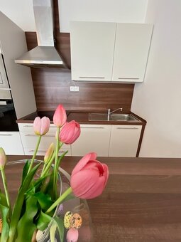 3.izb.byt, veľká terasa, 112 m2, parkovanie v garáži, Zobor - 2