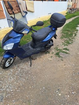 Fortune 50cc - 2