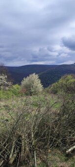 EXKLUZÍVNA PONUKA – VÝBORNÁ CENA & OKAMŽITÁ - 2