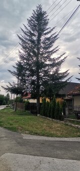 Pilčik - 2