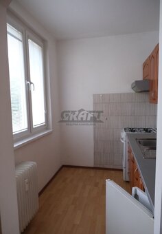 1-izbový byt po čiastočnej rekonštrukcii v tichej časti Trná - 2