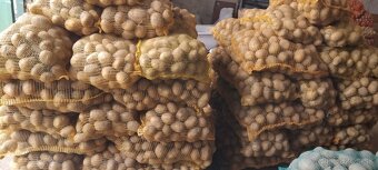 Zemiaky na zimné uskladnenie - 2