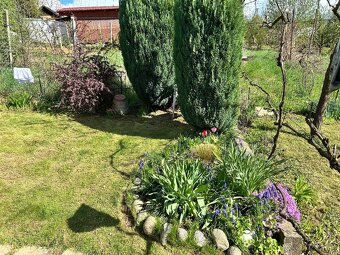 Záhrada s dreveným domčekom - 2