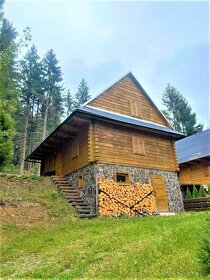 Prenajmem drevenicu - 2