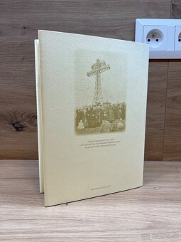 Slováci pri budovaní základov Československej republiky - 2