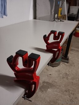 Zverák na lyže - 2