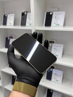 ZÁRUKA 2 ROKY / Apple iPhone 13 Pro 128GB Gold, 100% - 2