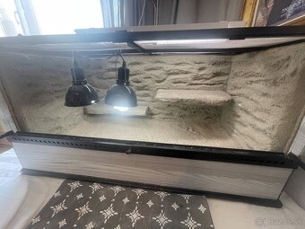 Sklenené terarium - 2