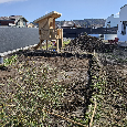 🌱 Frézovanie pozemkov – rýchlo a spoľahlivo Krupina - 2