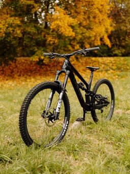 Canyon Spectral CF 29 - 2
