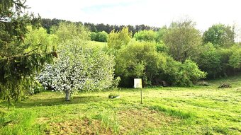 Ponúkame na predaj veľký pozemok na okraji obce. - 2