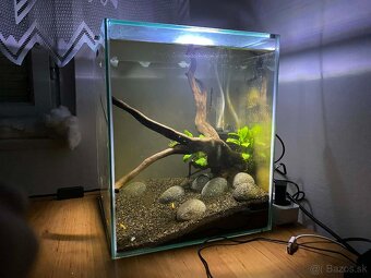 CENA DO KONCA TÝŽDŇA 1 - 2