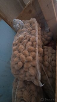 Predám konzumné zemiaky - 2