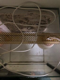 Terarium 30x30x30 - 2