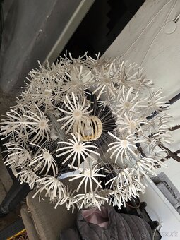 Lustre - 2