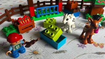 LEGO Duplo 10582 Lesné zvieratká - 2