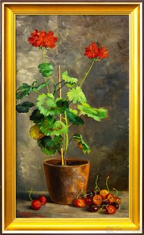 Zátišie s muškátmi, H.Friedrich, 375 × 615 mm - 2