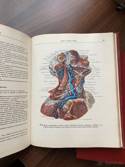 Atlas - Anatomia cloveka 2,3 - 2