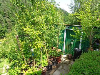 Na predaj pozemok - záhrada, 290 m2, Banská Bystrica - 2