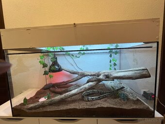 Ručne robená teraristická zostava / Terárium - 2