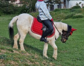 Spoľahlivá športová pony S pre najmenšie deti - 2
