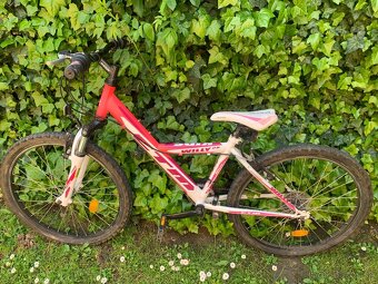 Bicykel - 2