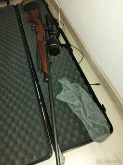 Steyr manlicher - 2