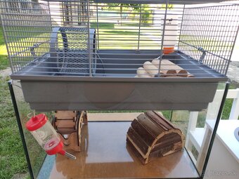 Terarium pre škrečka - 2