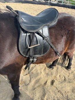 Pony sedlo - 2