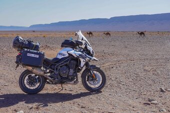 Triumph Tiger 1200 XCA, r.v. 2019 - 2