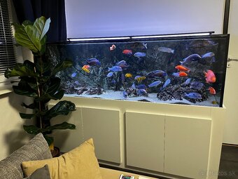 Predám Akvárium 680 L - 2
