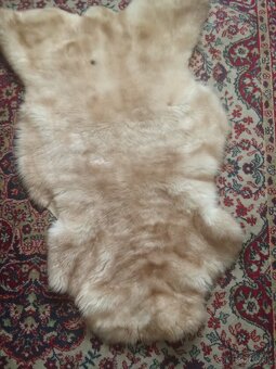 Ovčia kožušina - jahnňa - 2