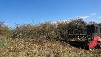 Lesná fréza FECON FTX140 FM - 2