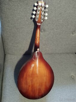 A-typ mandolína- celomasív - 2